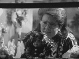 Woman in window