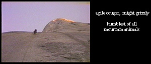 Mountain Climber