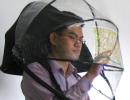 Nubrella with mockup map projection