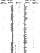 This table is a hand-made summary of all the data we got. On the Y axis, there is time (essentially all the music the participants listened to was on one music cassette). On the X axis, we list how many of the participants pressed the button in a specific time interval. They were instructed to press the button when they <i>really</i> liked a song segment. In the middle column, we listed our predictions (groups labeled A to X) where we <i>expected</i> the participants to like a specific song segment (and then press the button), because in our own experience, these particular song segments were the spots we ourselves felt goose bumps. Half of the songs we played were specifically selected because they do produce such goose bumps (again, in our own experience). Songs that produce goose bumps at all were quite rare, though: most of them were super successful in the music charts, and commercial super hits.